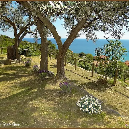 Pierina Apartment *