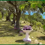 Pierina