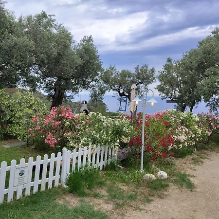 Pierina Finale Ligure