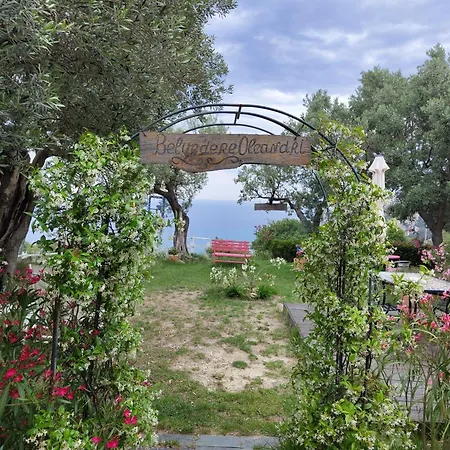 Pierina * 菲纳莱利古雷