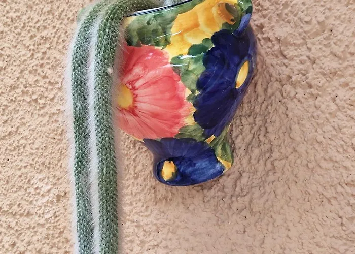 Pierina דירה פינאלה ליגורה